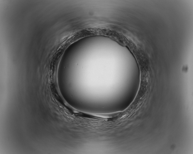 X0000098190965200805011119