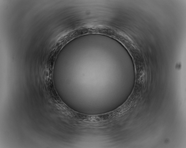 X0000098190966200805011119