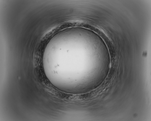 X0000098190967200805011119