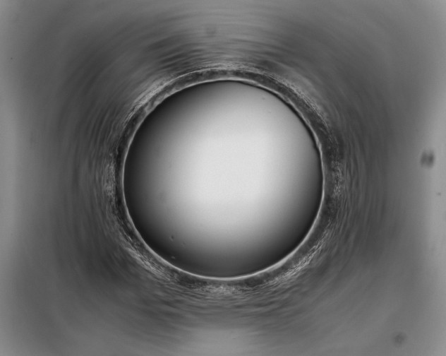 X0000098190969200805011119