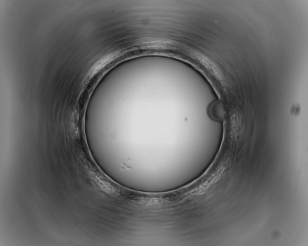 X0000098190970200805011119