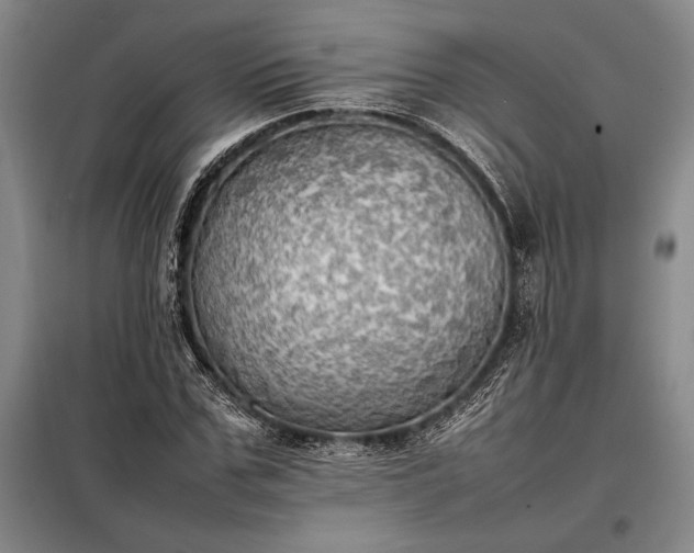 X0000098190971200805011119