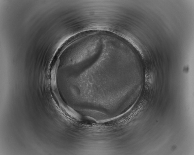 X0000098190972200805011119