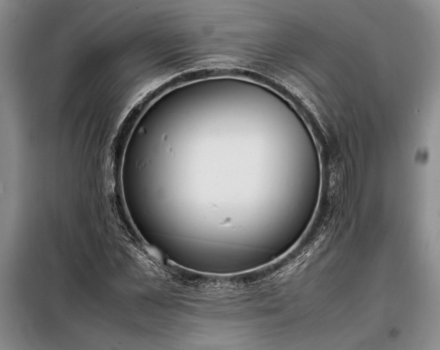 X0000098190973200805011119