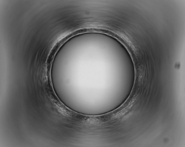X0000098190974200805011119