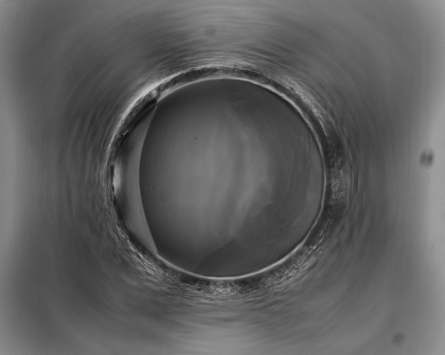 X0000098190975200805011119