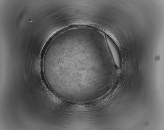 X0000098190976200805011119