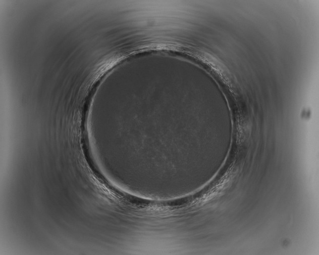 X0000098190977200805011119