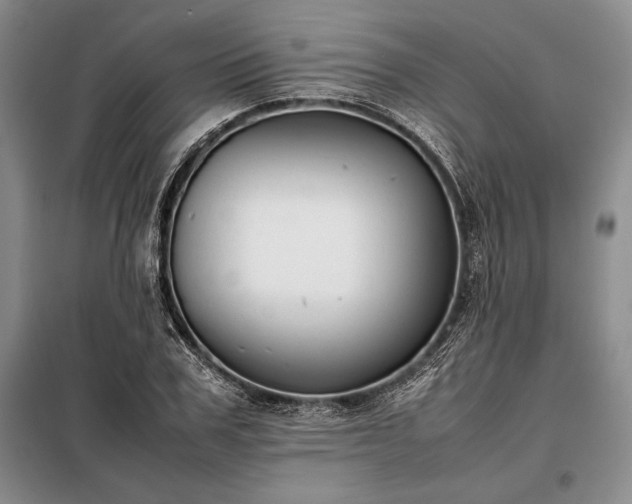 X0000098190979200805011119