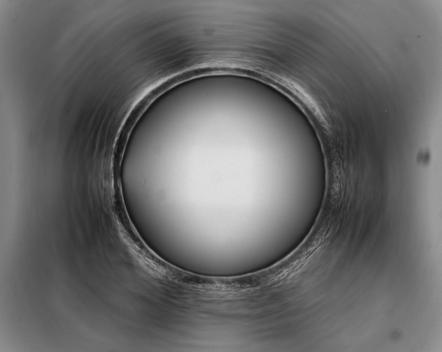 X0000098190980200805011119