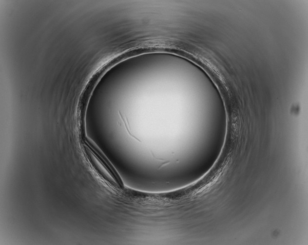 X0000098190981200805011119