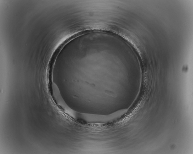 X0000098190983200805011119