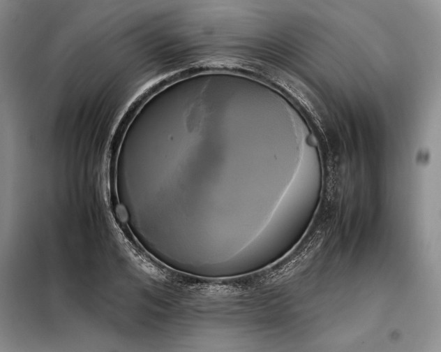 X0000098190984200805011119