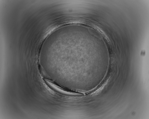 X0000098190985200805011119