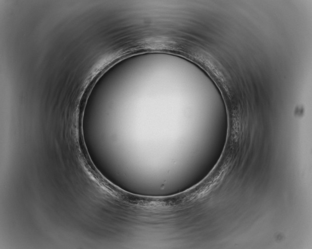 X0000098190986200805011119