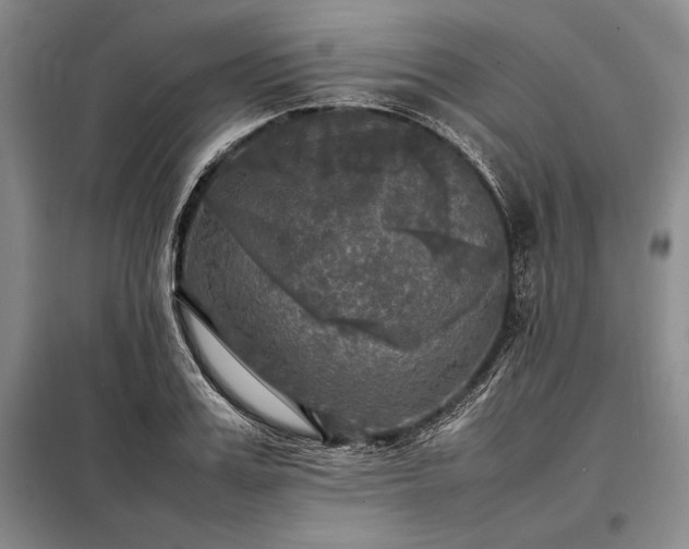 X0000098190987200805011119