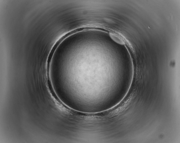 X0000098190988200805011119