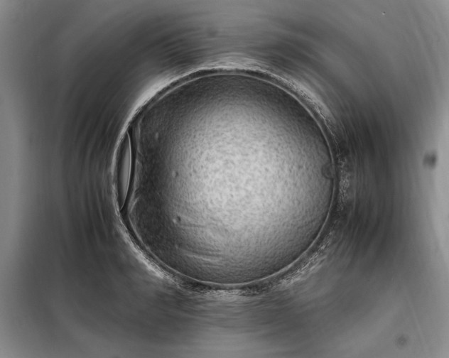 X0000098190990200805011119
