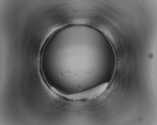 X0000098190992200805011119