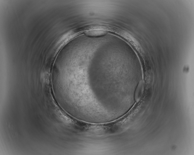 X0000098190993200805011119