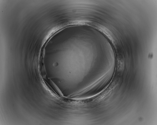 X0000098190994200805011119