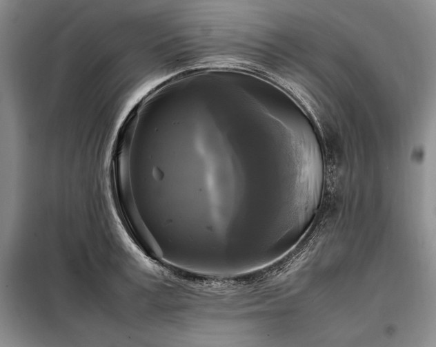 X0000098190995200805011119