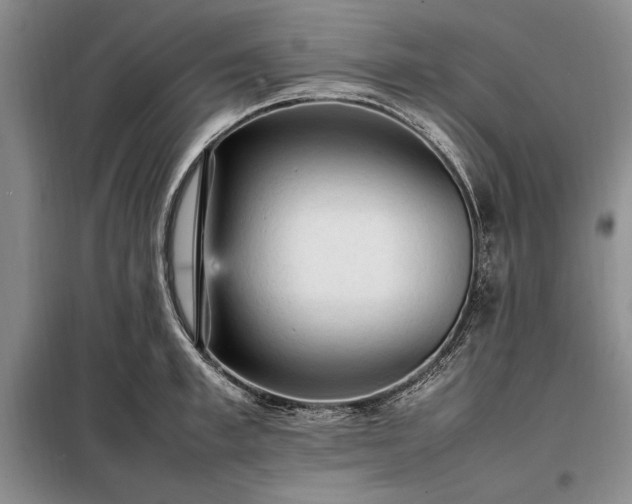 X0000098190997200805011119
