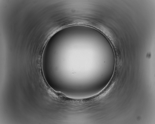X0000098191001200805011119