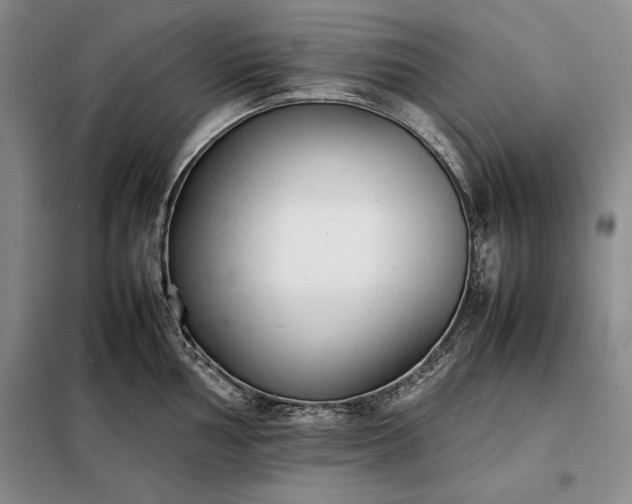 X0000098191002200805011119