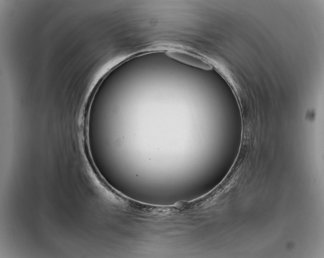 X0000098191003200805011119