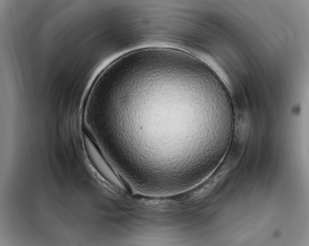 X0000098191004200805011119