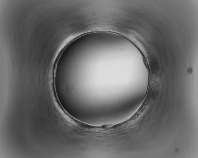 X0000098191005200805011119