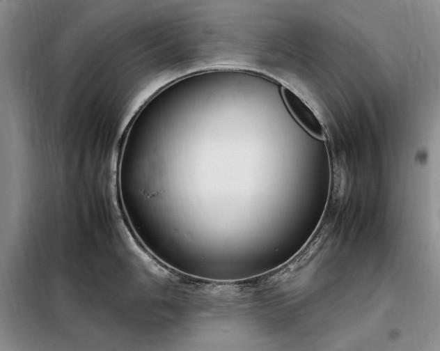 X0000098191006200805011119