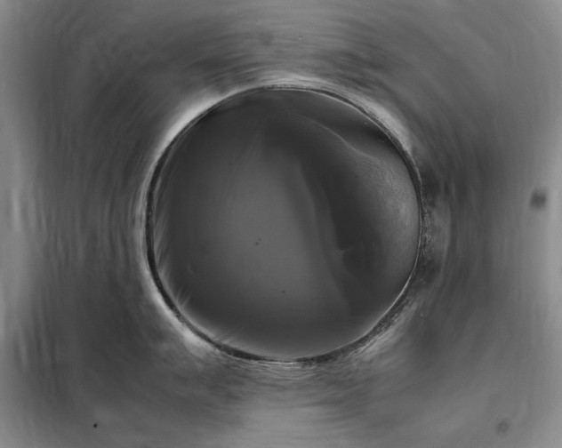 X0000098191007200805011119