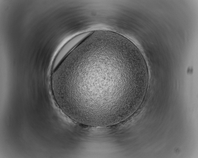 X0000098191008200805011119