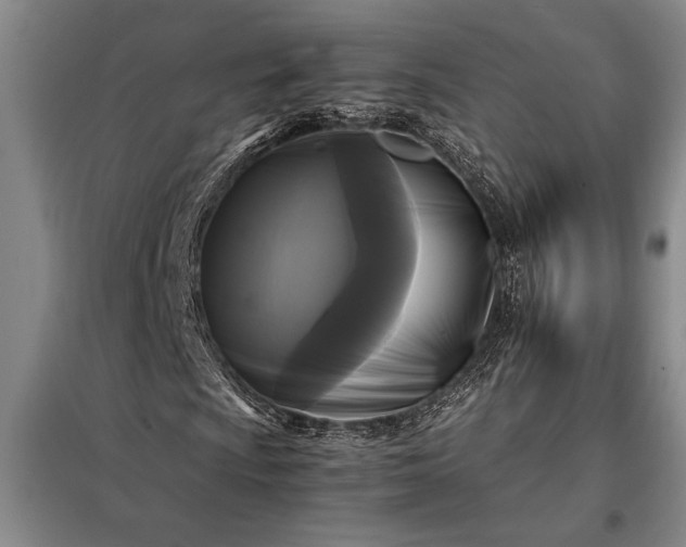 X0000098191009200805011118