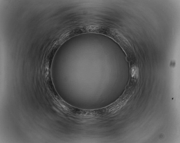 X0000098191011200805011118