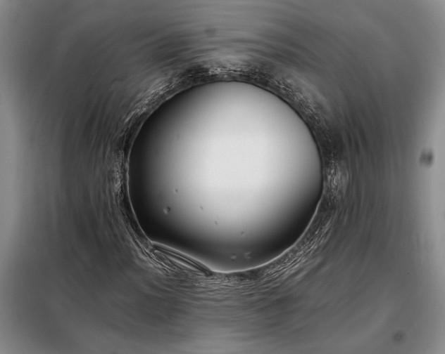 X0000098191012200805011118