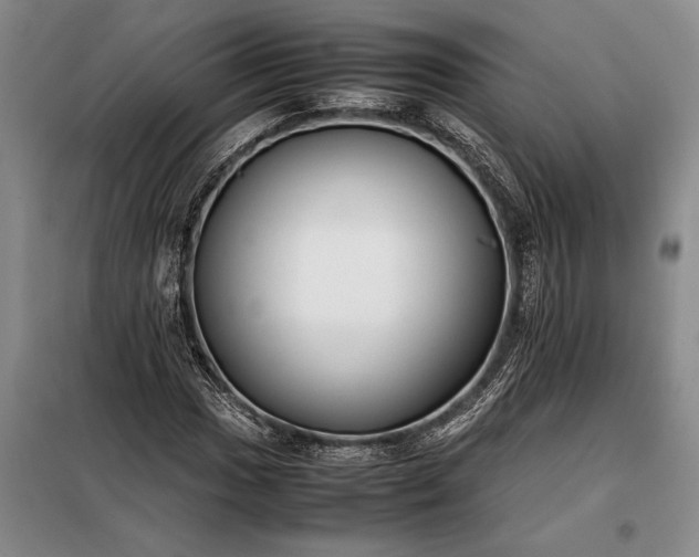 X0000098191017200805011118