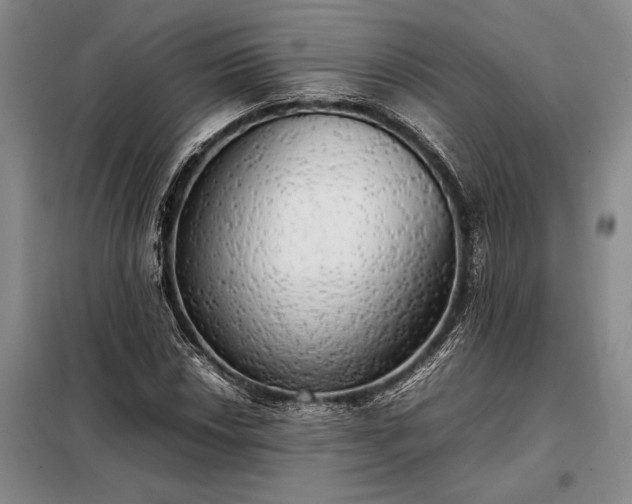 X0000098191018200805011118