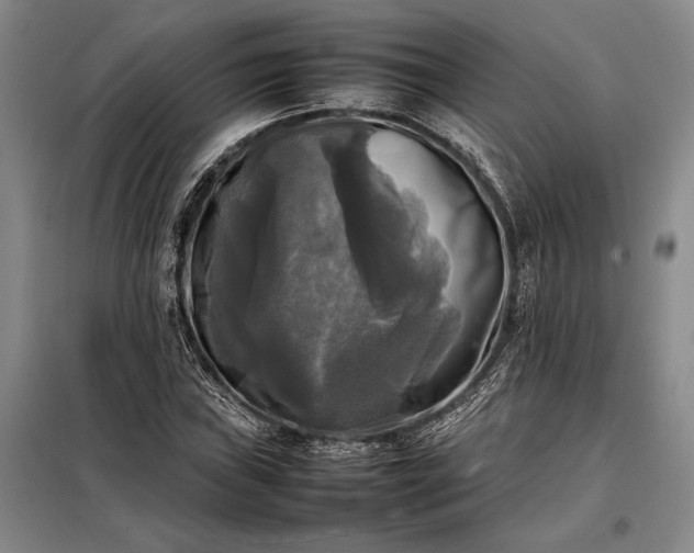 X0000098191019200805011118