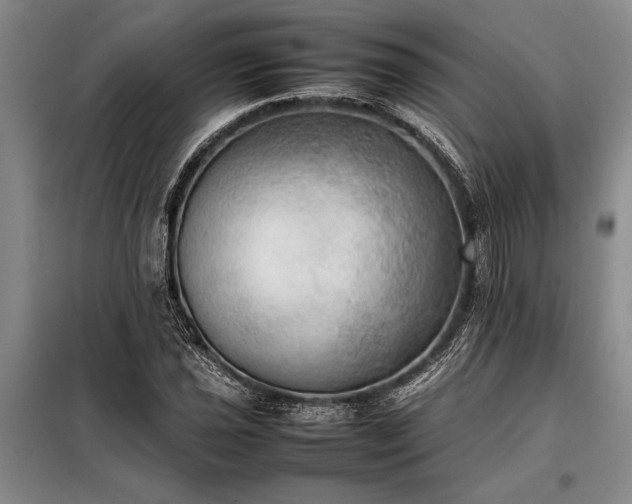X0000098191021200805011118