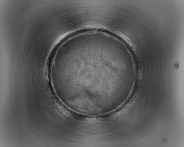 X0000098191022200805011118