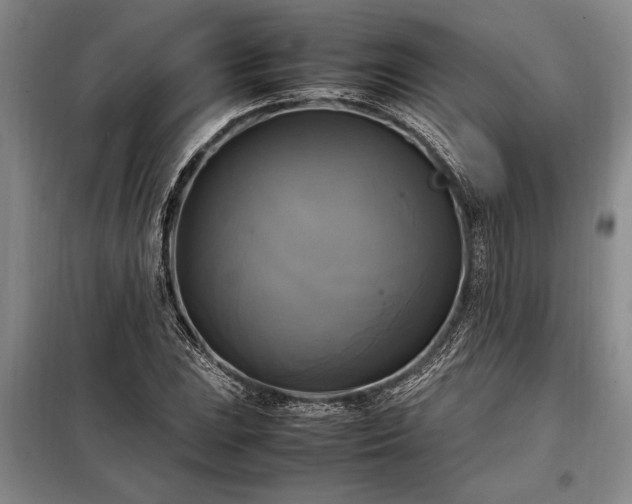 X0000098191023200805011118