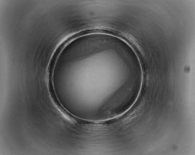 X0000098191024200805011118