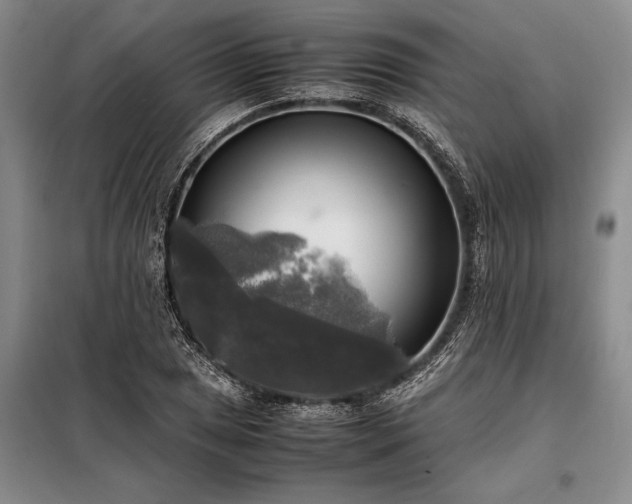 X0000098191025200805011118