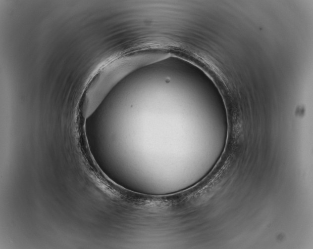X0000098191026200805011118