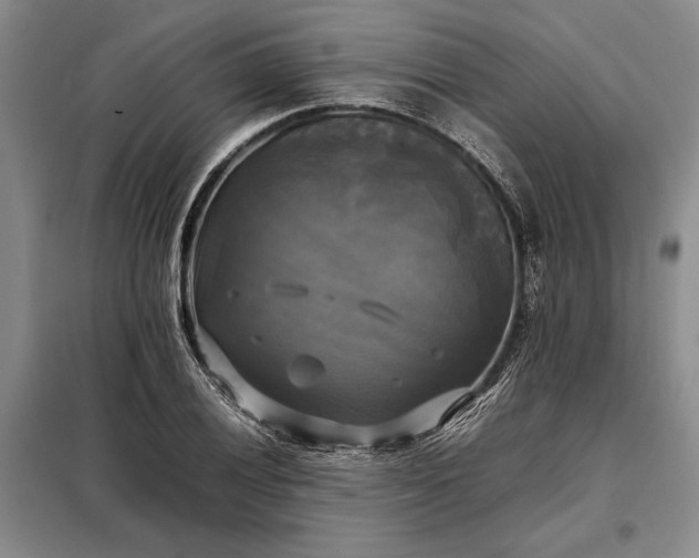 X0000098191028200805011118