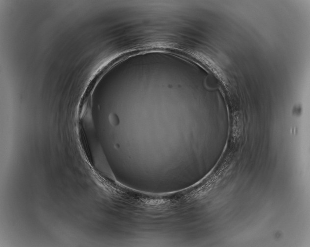 X0000098191031200805011118