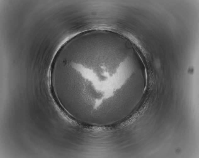 X0000098191032200805011118